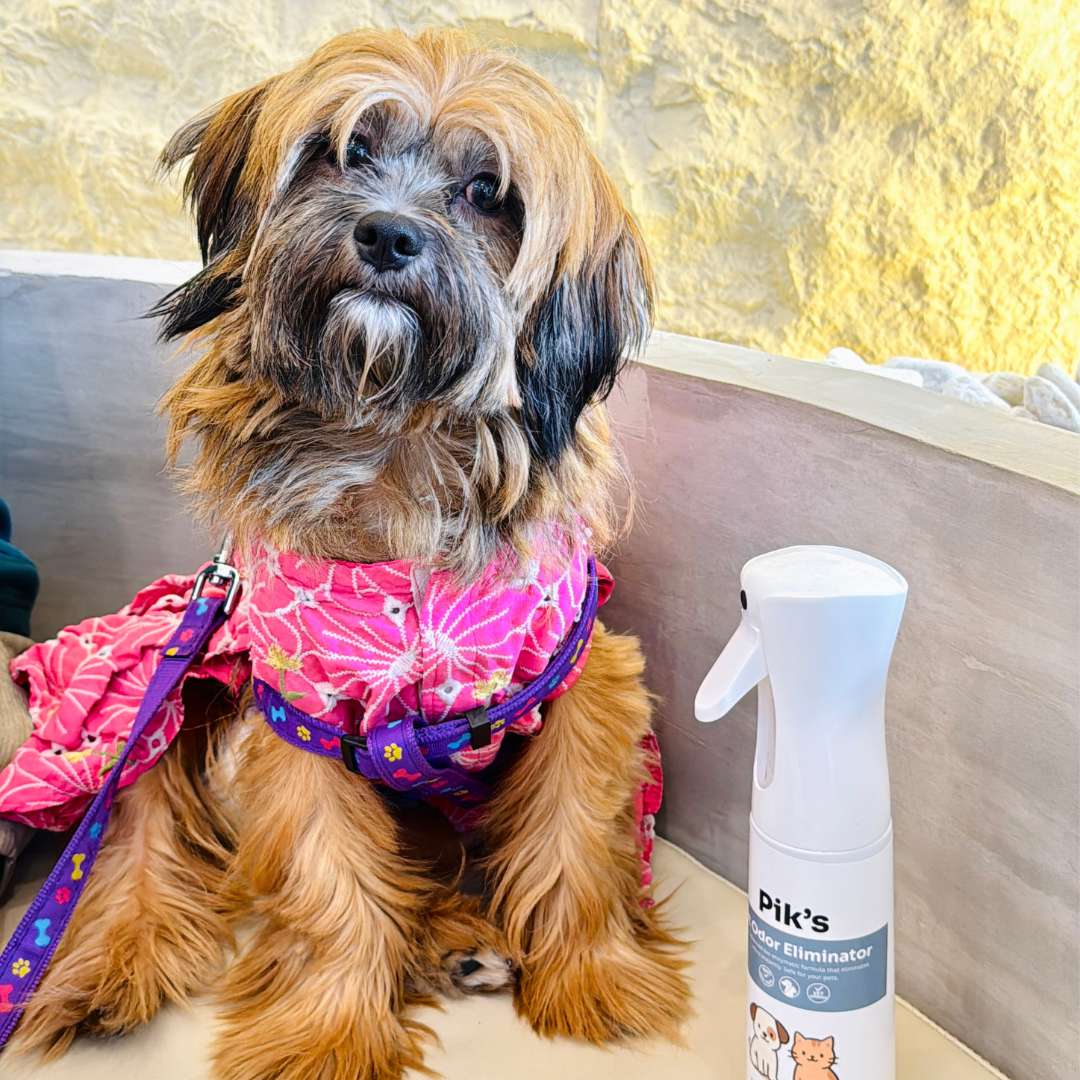 Pet Odor Eliminator Spray