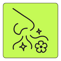 Natural Odor Absorbers