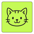 Cat-Preferred Texture