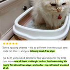 NanaPro - Diamond Cat Litter-V1