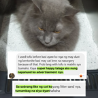 NanaPro - Diamond Cat Litter-V1