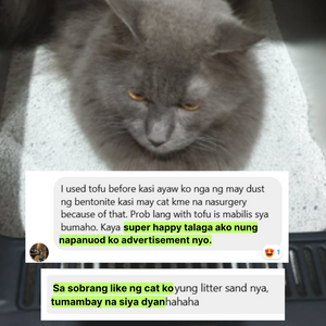 NanaPro - Diamond Cat Litter