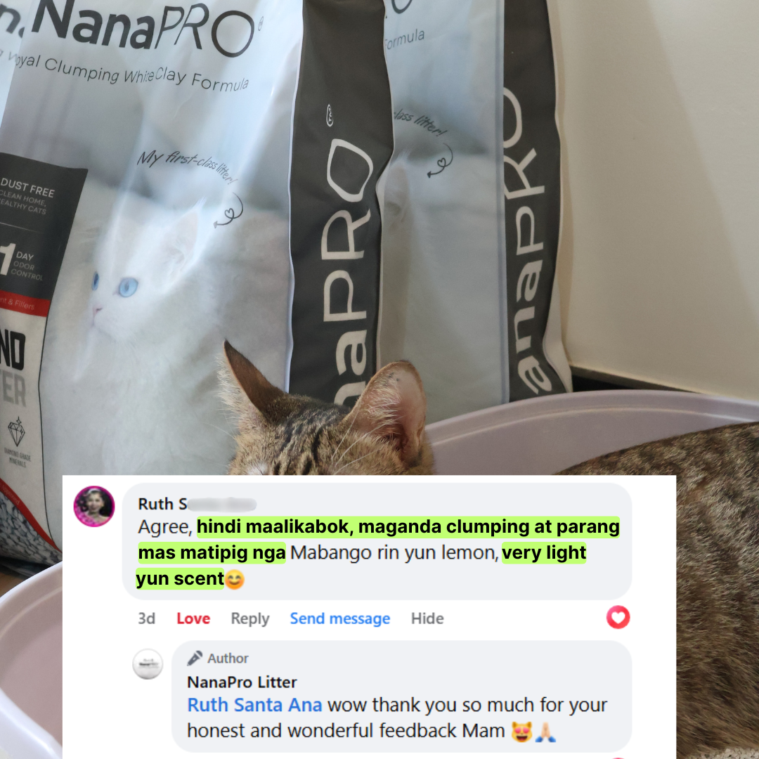 NanaPro - Diamond Cat Litter-V1