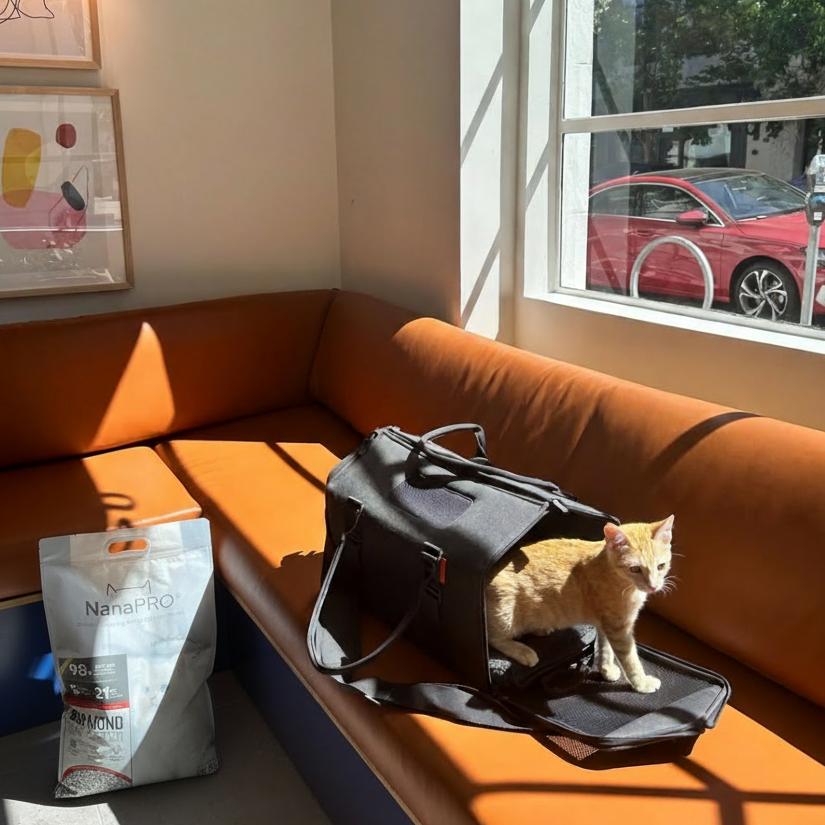 NanaPro - Diamond Cat Litter-V1